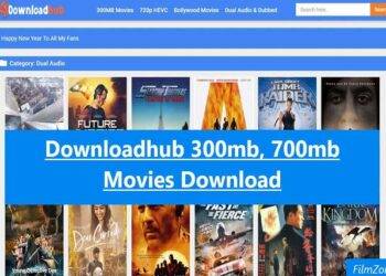 DownloadHub.ws – How to Download Hub Movies