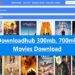DownloadHub.ws – How to Download Hub Movies