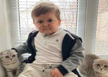 How Old Is Hasbulla Hushetskiy?