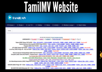What Is Tamilmv Website?