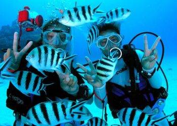 What Will You Gain From Becoming A Certified Scuba Diver?