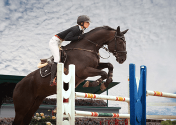 The Advantages Of Plastic Horse Jumps For Equestrians