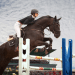 The Advantages Of Plastic Horse Jumps For Equestrians