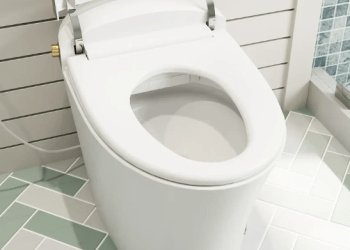 Exploring the Horow T20Y: Unveiling the Comfort and Functionality of a Bidet with Dryer