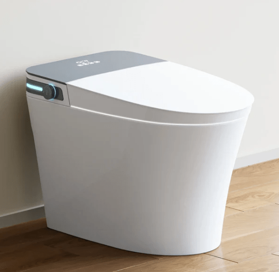 The Ultimate Bathroom Upgrade: The Horow Toilet with Bidet